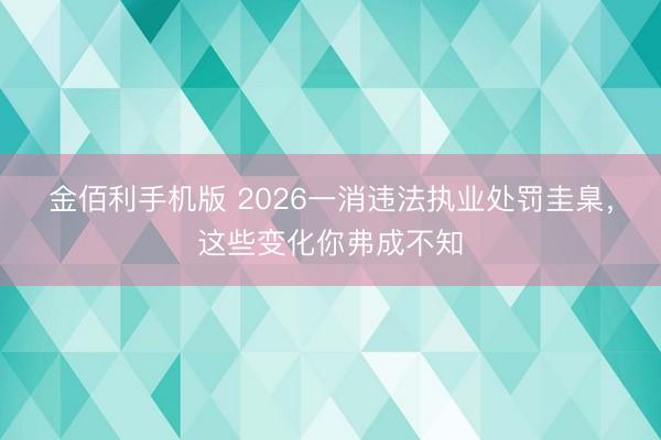 金佰利手机版 2026一消违法执业处罚圭臬，这些变化你弗成不知